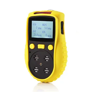 세이프가스 SAFEGAS YM-1200 | 복합 가스측정기