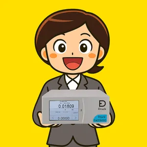 드럭 DRUCK PACE6000 - 2CH 압력 컨트롤러