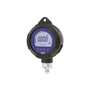 비카 WIKA CPG1200 – 디지털 압력게이지